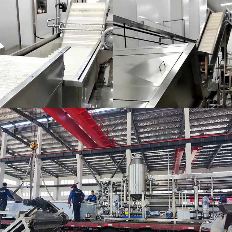 1682583535569525.jpg 不老莓调试4.jpg